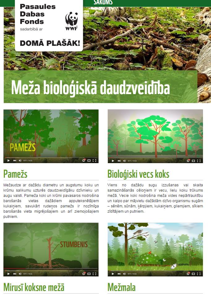 Kas ir daudzveidīgs mežs? Kā tajā pareizi saimniekot? Atrodi visu informāciju vienkopus: bit.ly/1kRJUHa