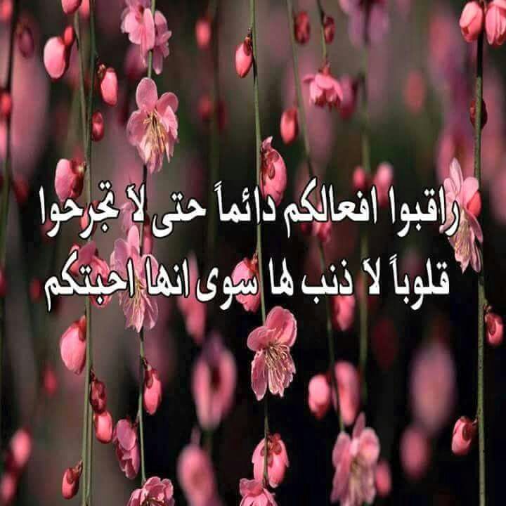 بقايا انثى ممزقه (@saas00972) on Twitter photo 