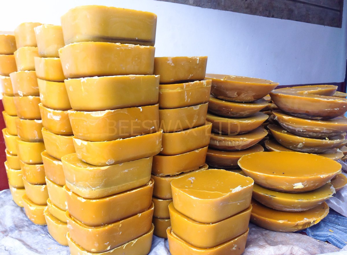 AfricanBeeswax's tweet photo. Thanks to the rain we have our latest batch of Kenyan Beeswax #beeswax #africanbeeswax #wax #bees #honey #beekeeping https://t.co/Yu0SmOD8oi