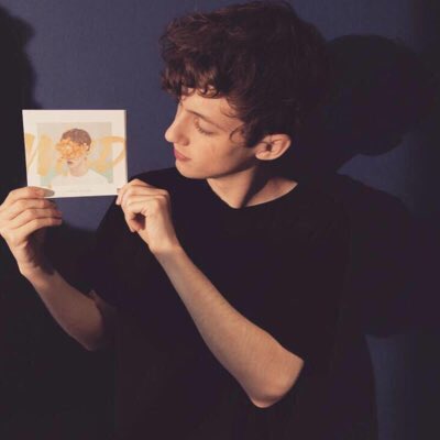 bombaflayout's tweet image. Troye Sivan