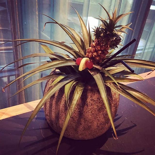 RadissonBluOSL's tweet image. Raise your glasses ..the #weekend is here! 
Ps. this is only a plant in a #Friday mood - not a tiki drink! #frifoto
