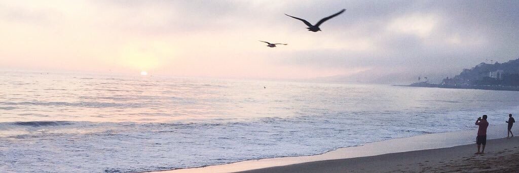 bombaflayout's tweet image. Jenn McAllister