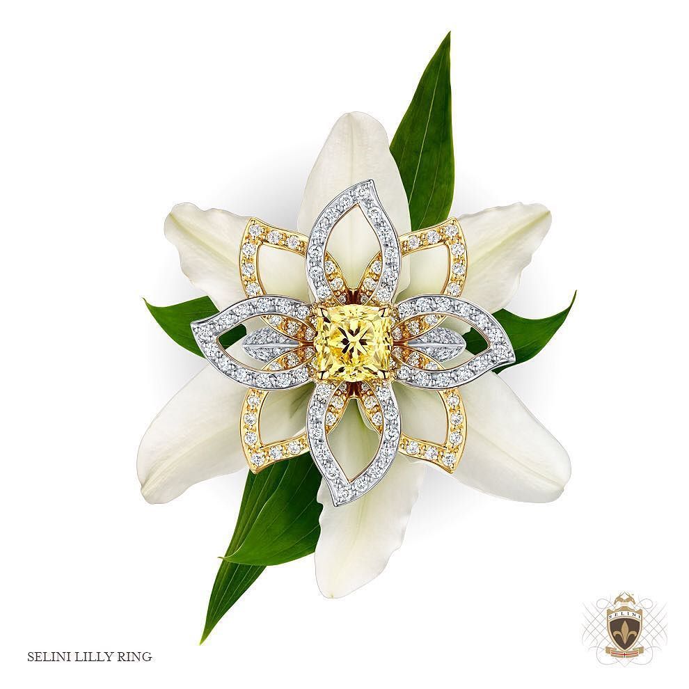 SeliniJewellery's tweet photo. Selini Lilly Ring - Bespoke designed and created by Robin Girling #yellowdiamond #lilly #f… https://t.co/rvbt86mlu6 https://t.co/a6zOVmraSs