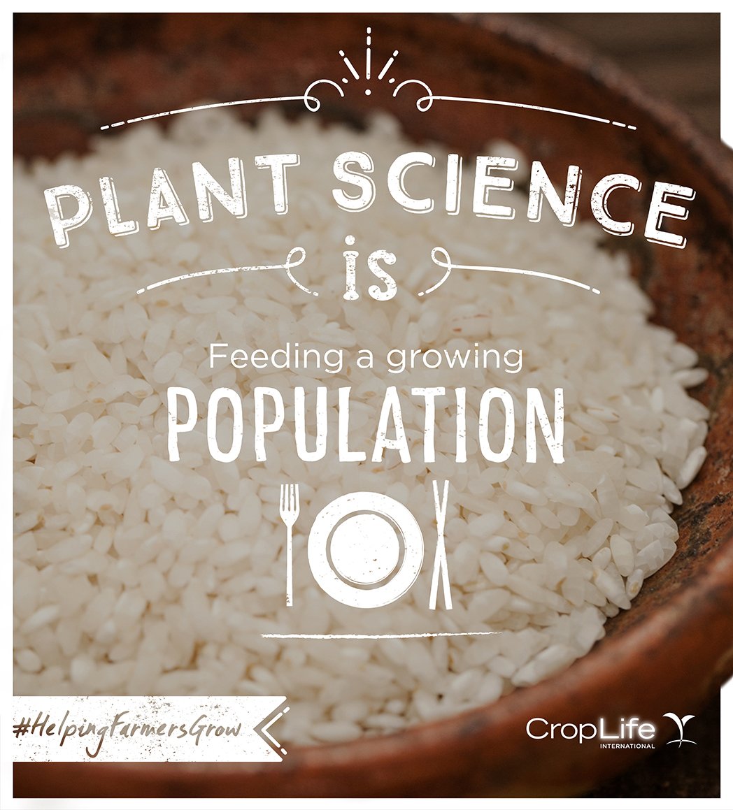 CropLifeIntl's tweet photo. Without crop protection products pests &amp; disease could have doubled food losses last year #HelpingFarmersGrow https://t.co/jFoxFYi2nH