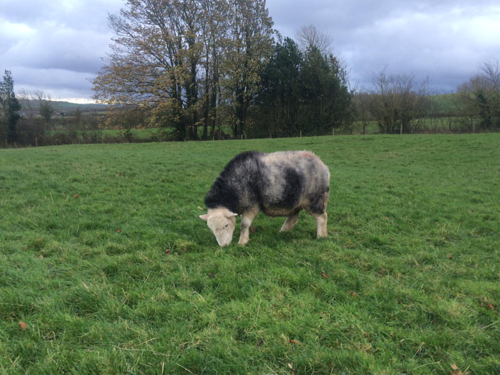EweSue's tweet photo. Winter coats needed today... https://t.co/pAtoIYEjBN