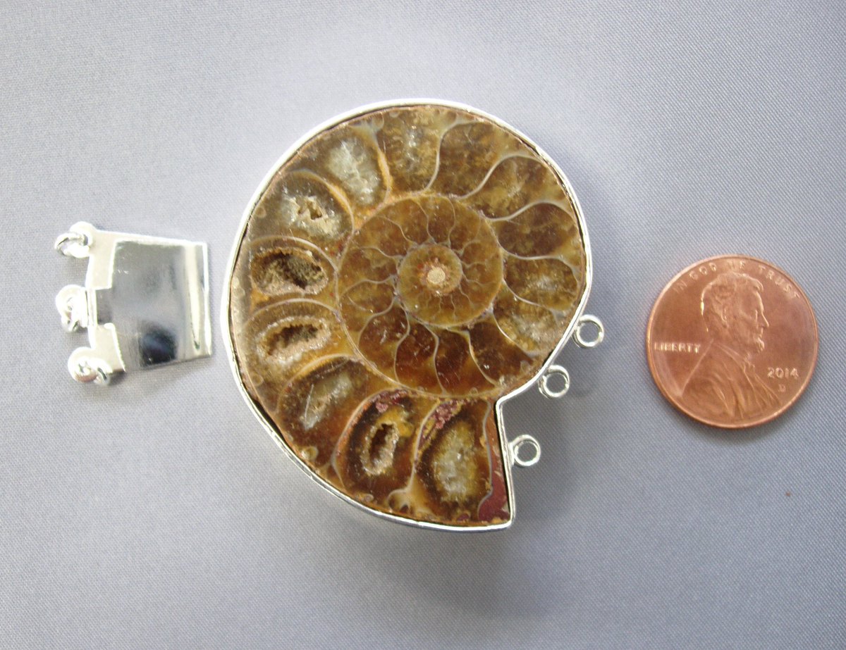 Everyone loves ammolites! Do you want one? #energystone #jewellery #instyle ow.ly/U8Ip4 #shopifypicks