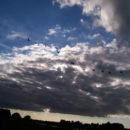 and finally the sky is turning blue...