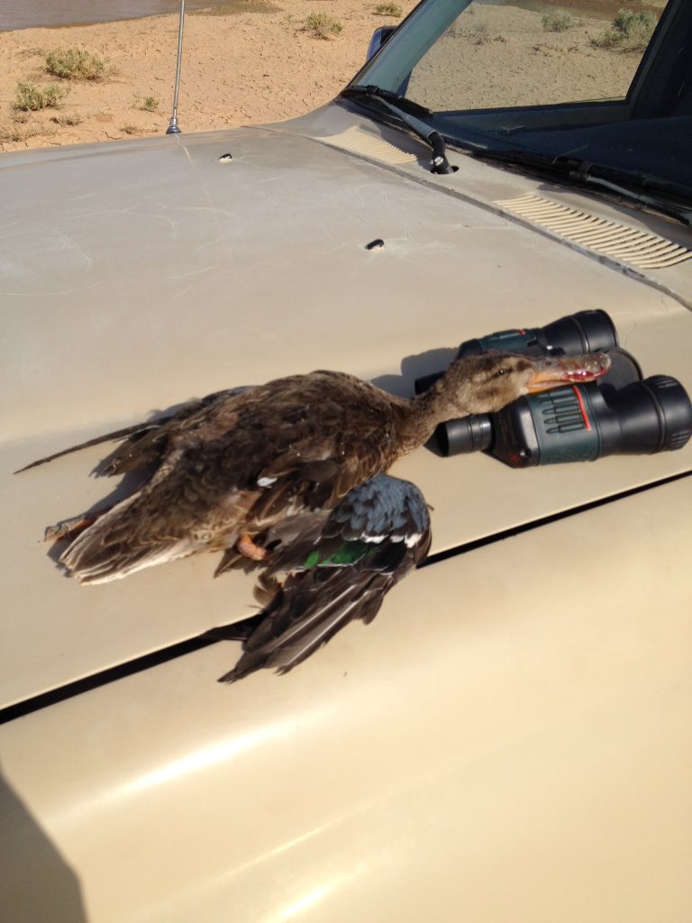 <a href="/qroup_alsaid/">.</a> صبد اليوم حايل