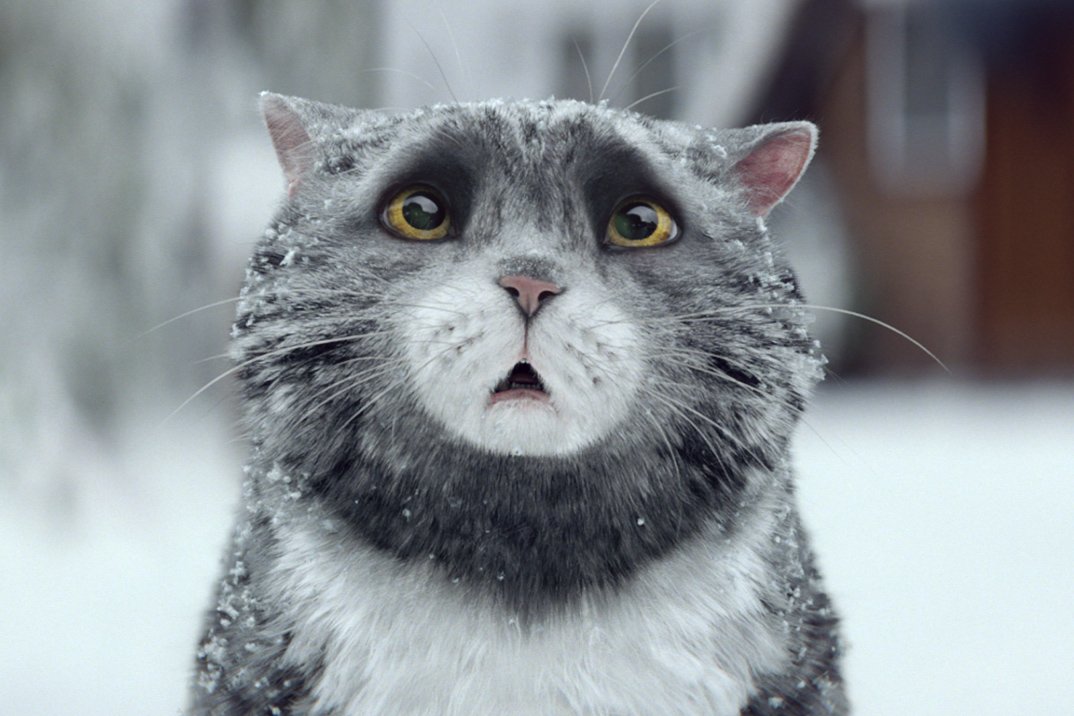 standardnews's tweet image. The Sainsbury&apos;s Christmas advert will melt your heart bit.ly/1ktxO7D