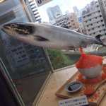 なんか間違ってる!？特盛いくら丼のサンプルが強烈すぎる!