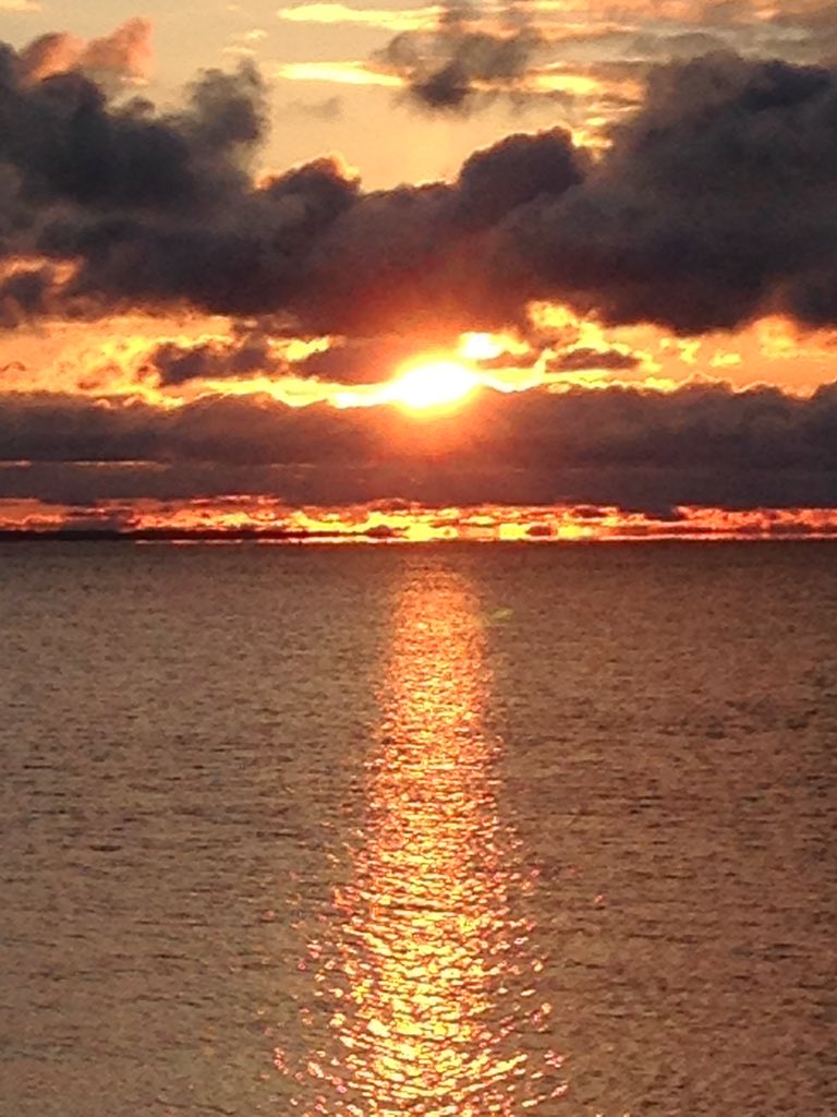 randomfriend666's tweet image. 