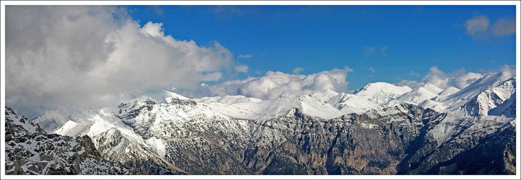 Terrabook tweet media