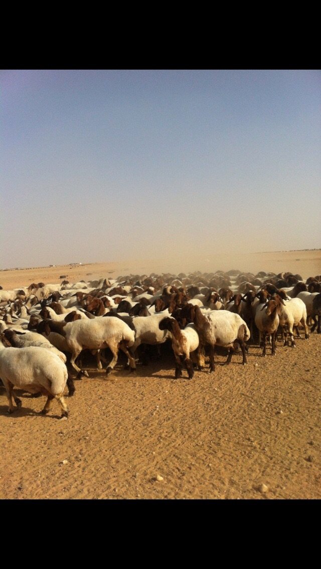 055 973 2653 (@055_2653) on Twitter photo 