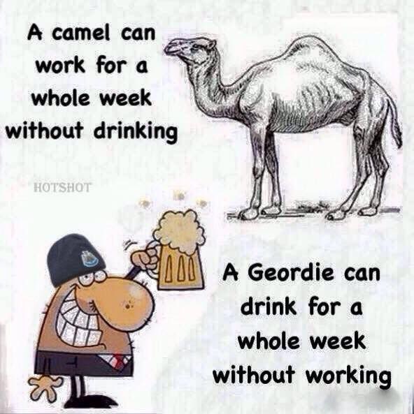 Just to prove a previous tweet 😉