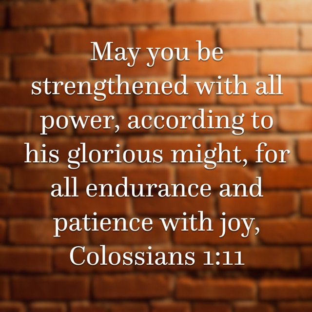 bible.com/59/col.1.11.esv