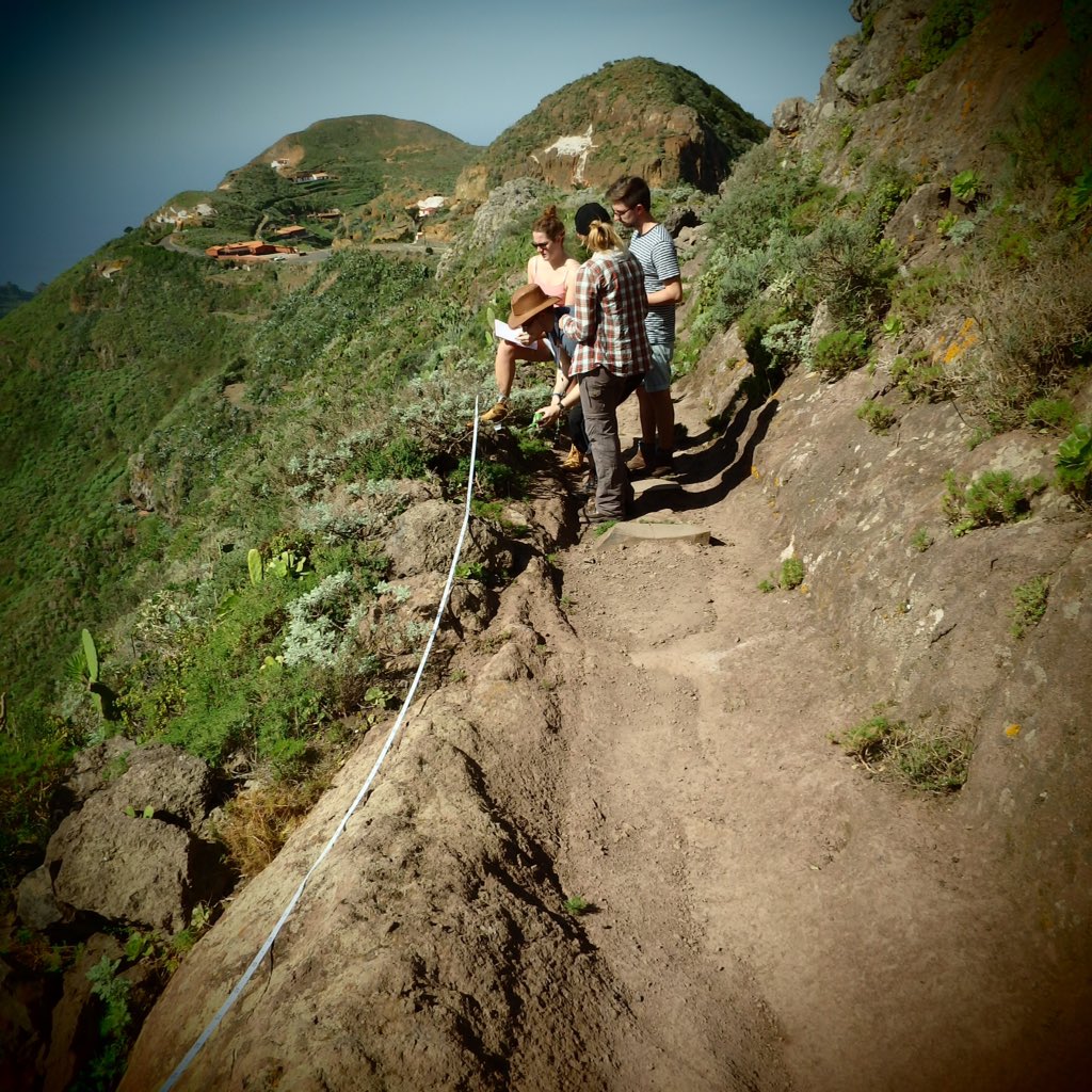 _kateashley's tweet photo. Team Ray measuring plants along a transect for our @CENTA_NERC speed PhD #vegetationstructure #fieldwork #tenerife https://t.co/u1xyMCnVFX
