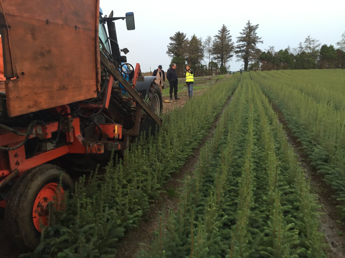 campaign4kehoe's tweet image. Photos from the visit yesterday to None-So-Hardy Forestry
to launch the lifting Season 2015-2016 with @Tomhayestd
