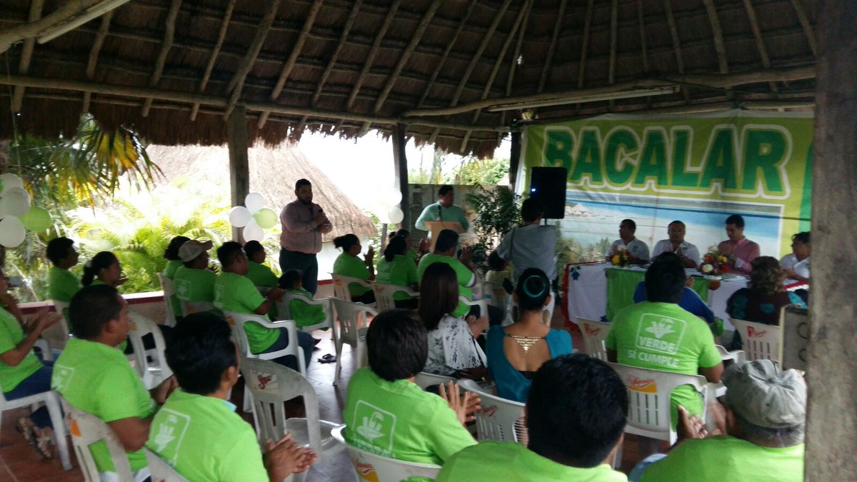 verdebacalar's tweet photo. Como partido Verde este 2016 ganaremos la mayor cantidad de adeptos, por que Bacalar solo tiene un color : el verde! https://t.co/VZDjQNae1M