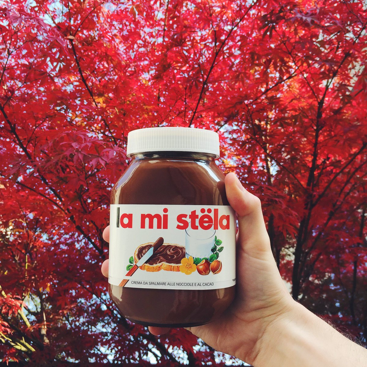 Nutella tweet media