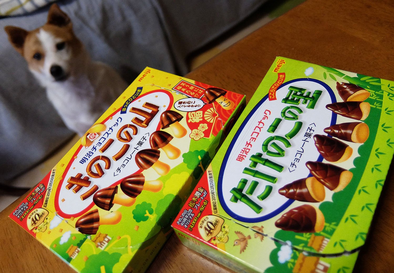 はぐれ けやき きのこたけのこ戦争が始まってるけど 犬 はどっちも食べさせてもらえないので中立です クリームシチューの肉は豚か鶏かの戦争もあります 犬はどっちもアレルギーなので ここでも中立です 味噌汁は赤だしか白味噌かという Ry T
