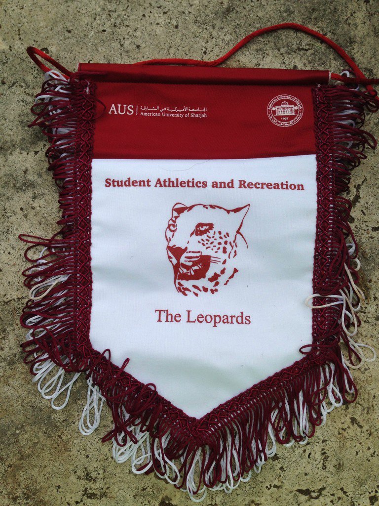 BristolGeogsoc's tweet photo. The American university of Sharjah gave us a present before the game today #LadzioOnTour #NewGraceReevesDecoration? https://t.co/SiNkAyS7d3