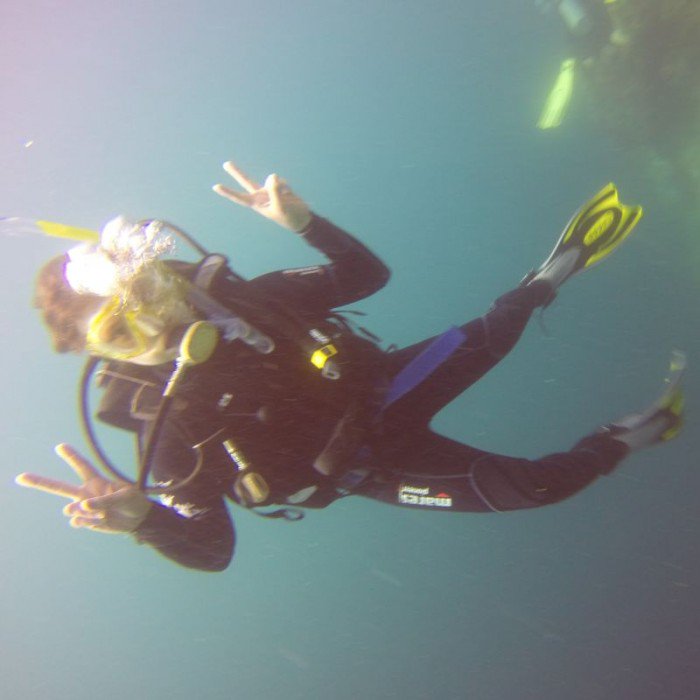 vacaykit's tweet photo. Wanna see turtles, sharks and lots of fish underwater? Learn how to become a licensed diver! https://t.co/SKiWCnd9fZ https://t.co/Q8ay1KR6Kr
