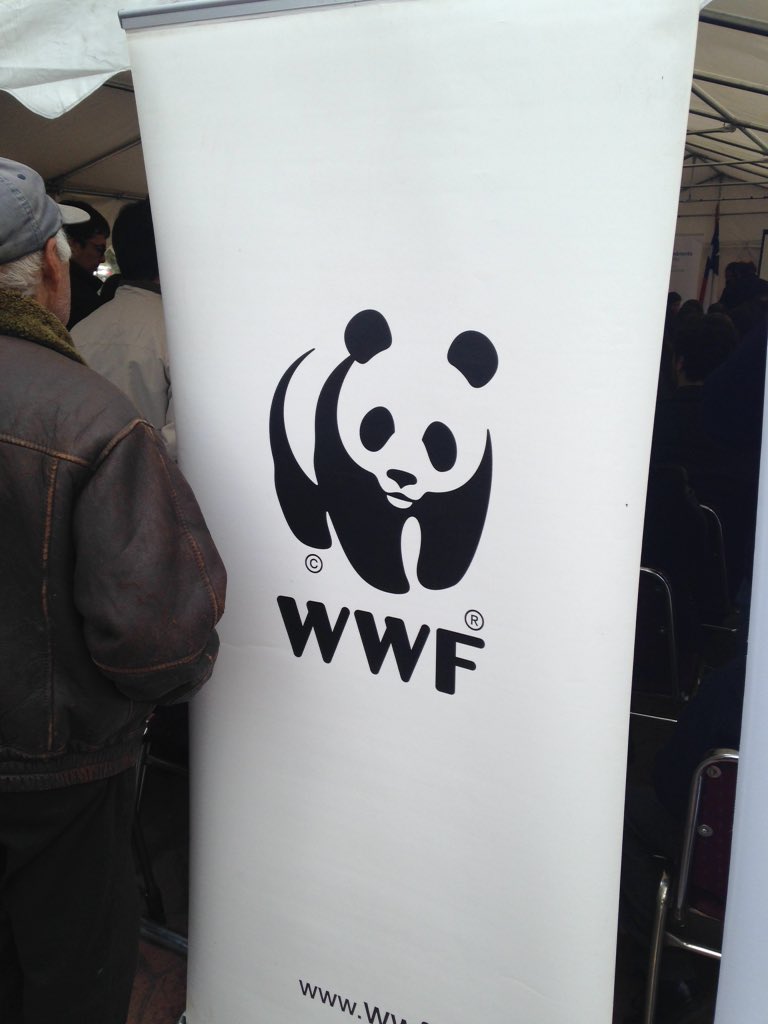 MMALosRios's tweet photo. #LosRiosReduce junto a #Valdivialcl @WWFChile https://t.co/mbgkvbebdY