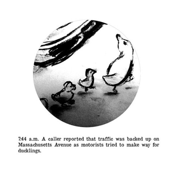 poblot's tweet photo. Make Way for Ducklings #poblot #funny #policelogs https://t.co/9PXduh9c57