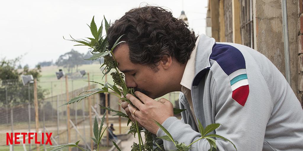 NetflixDE's tweet photo. Es riecht nach Wochenende, Freunde! #Narcos https://t.co/8paSmX3tFo