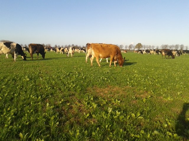 Tom Keuper tweet media