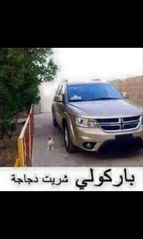 باركولي