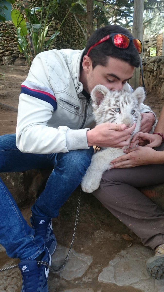 Cattoni88's tweet photo. Simplemente increíble https://t.co/UwUYrcABcM