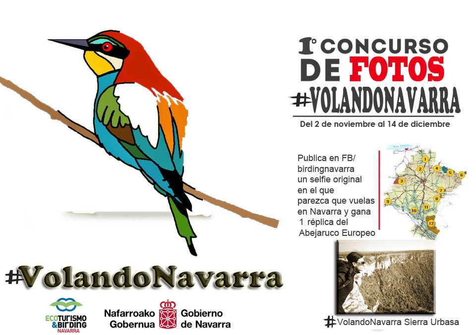 <a href="/birdingnavarra/">Birding Navarra</a> Vuela en lindus o irati-abodi!!! Los mejores emplazamientos para ganar el premio.