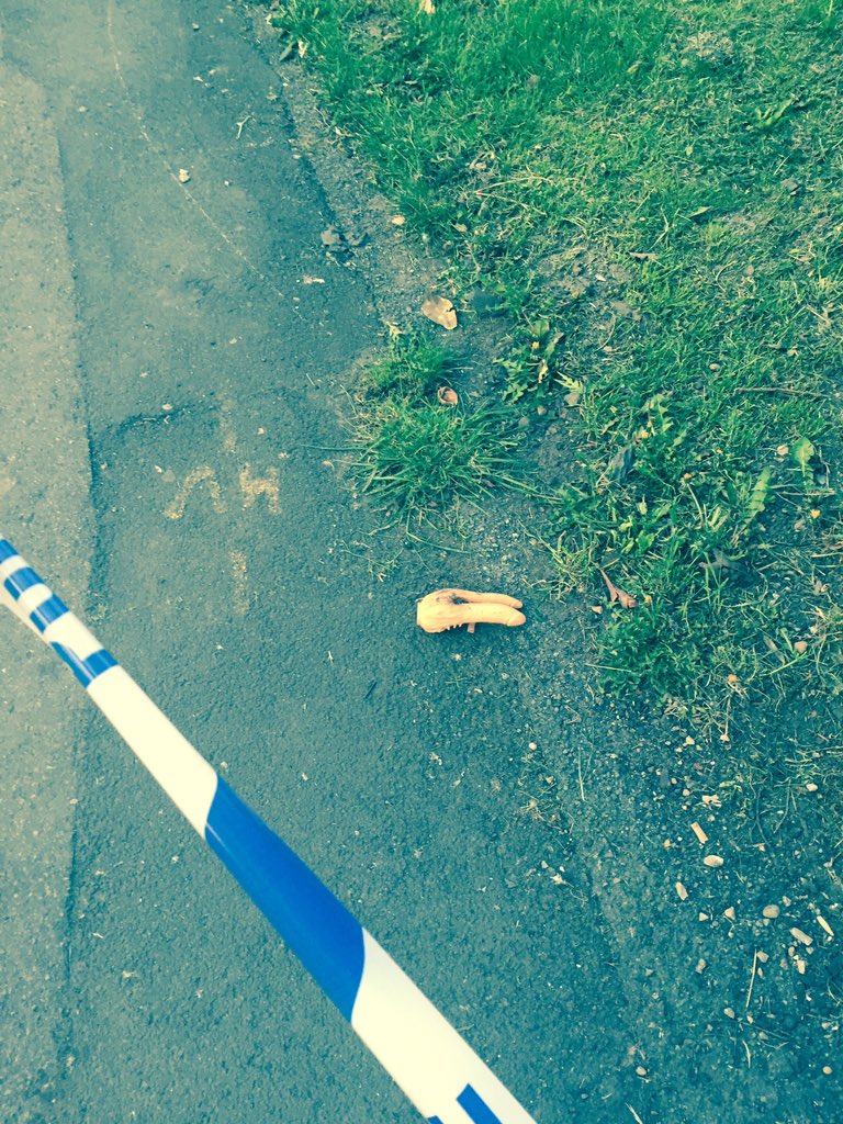 CopperLogic's tweet photo. Yes that is #Police scene tape and yes that is what you think it is... Who knows what went on here 😅 https://t.co/TPR84XGjbQ