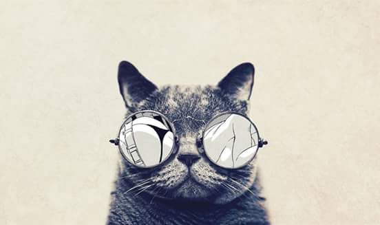 MissQualityAgen's tweet photo. #Viernes13 #tuereslaCausaDeTuBuenaSSuerte #buenfinde https://t.co/0z6e94AfjQ