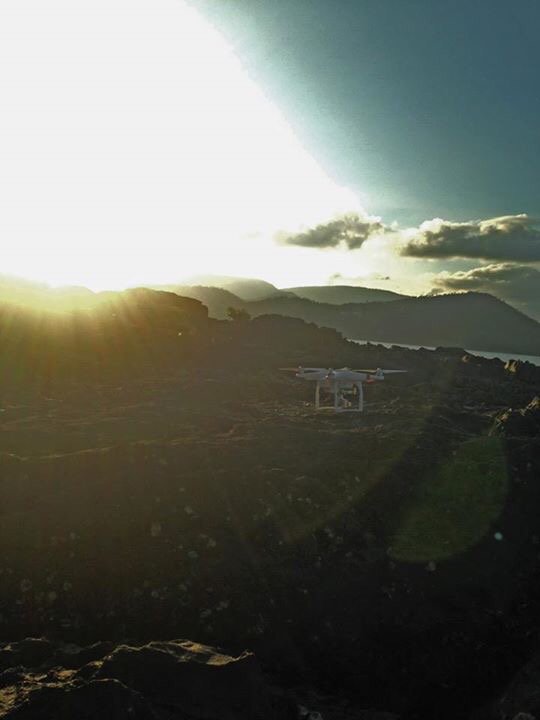 WaspNQ's tweet photo. A few snaps from our little budding photographer https://t.co/BIazQoiCDH