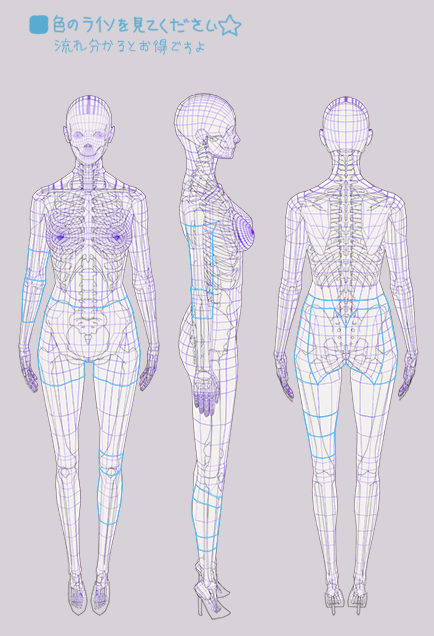 D K Tren Twitter 少年の作りの前 女性の基本体系の三面図です 体描くのが苦手だと良く聞きましてちょっとですけど 青のラインを見てください流れ分かるとお得ですよ T Co Rwjqjcgixa