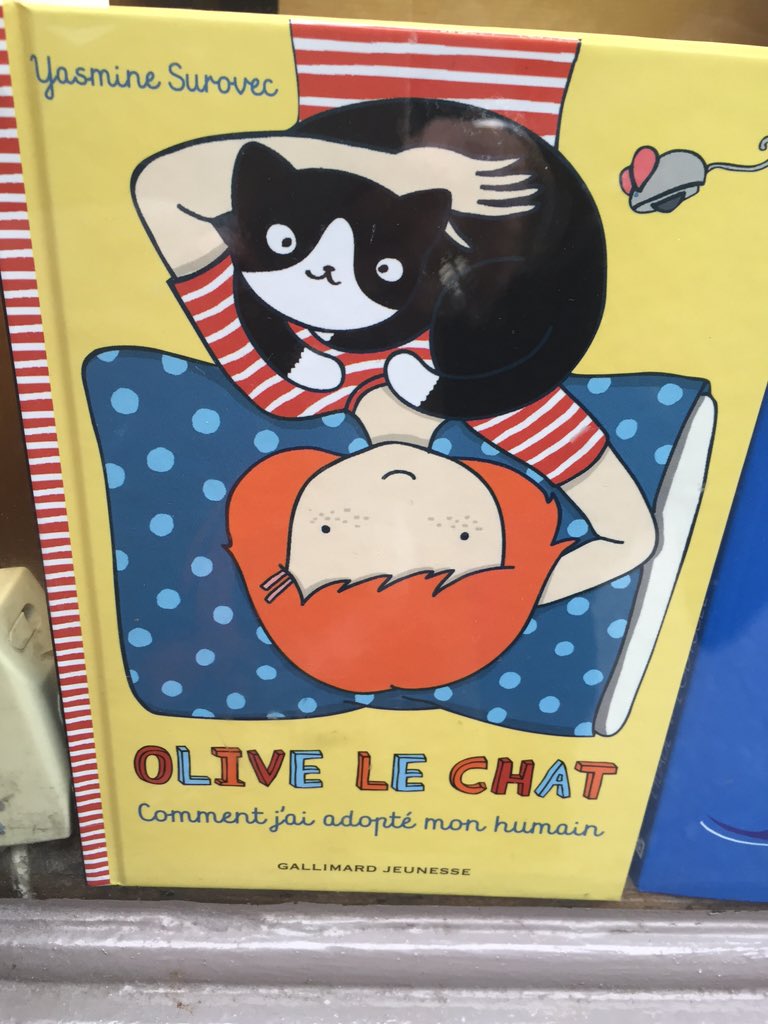 olive_blacklab's tweet photo. 'Ahem ahem' Olive is a dog NOT a cat #serioustypo 🤔😐 https://t.co/YVhe3VNNJd