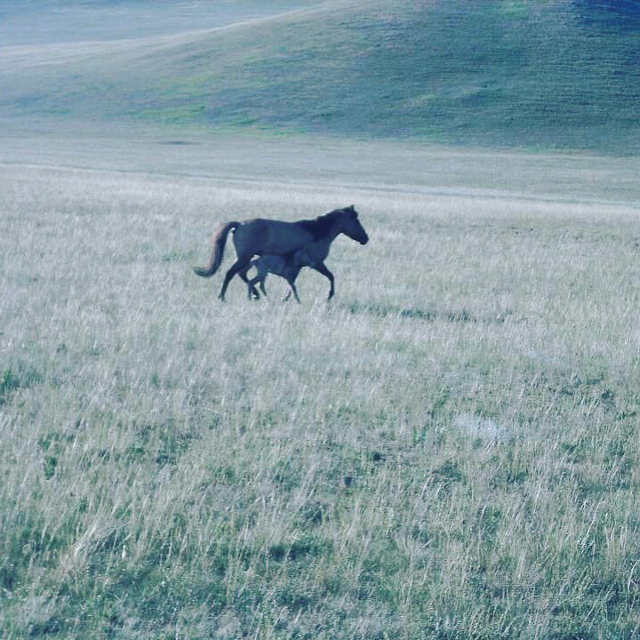 Бүх хүнтэй эелдэг бай учир нь тэднээс суралцах зүйл их бий .