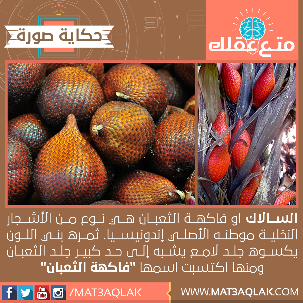 mat3aqlak's tweet photo. #متع_عقلك #MT3AQLAK #حكاية_صورة
https://t.co/jsoFOtOlPI https://t.co/jac8EJIFl8
