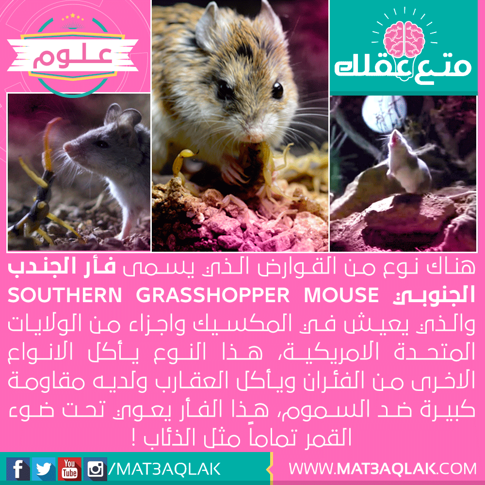 mat3aqlak's tweet photo. #متع_عقلك #MT3AQLAK #علوم 
https://t.co/jsoFOtOlPI https://t.co/egIvRQSI6m