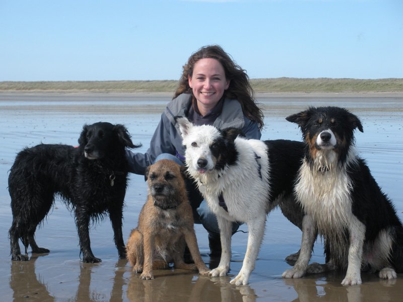 CompAnimalPsych's tweet image. A conversation with @CarriWestgarth on dog bite prevention &amp;amp; more ow.ly/UCSLn #dogs #dogtraining