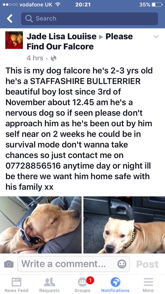 michell57319641's tweet photo. #Urgent #Pls #Rt RT RT #NeedsFinding 😩 @findmurphyhusky @LionessTwinks @CazpParker @millypod1 @Harveysarmy1 https://t.co/3VazUfu9Vf