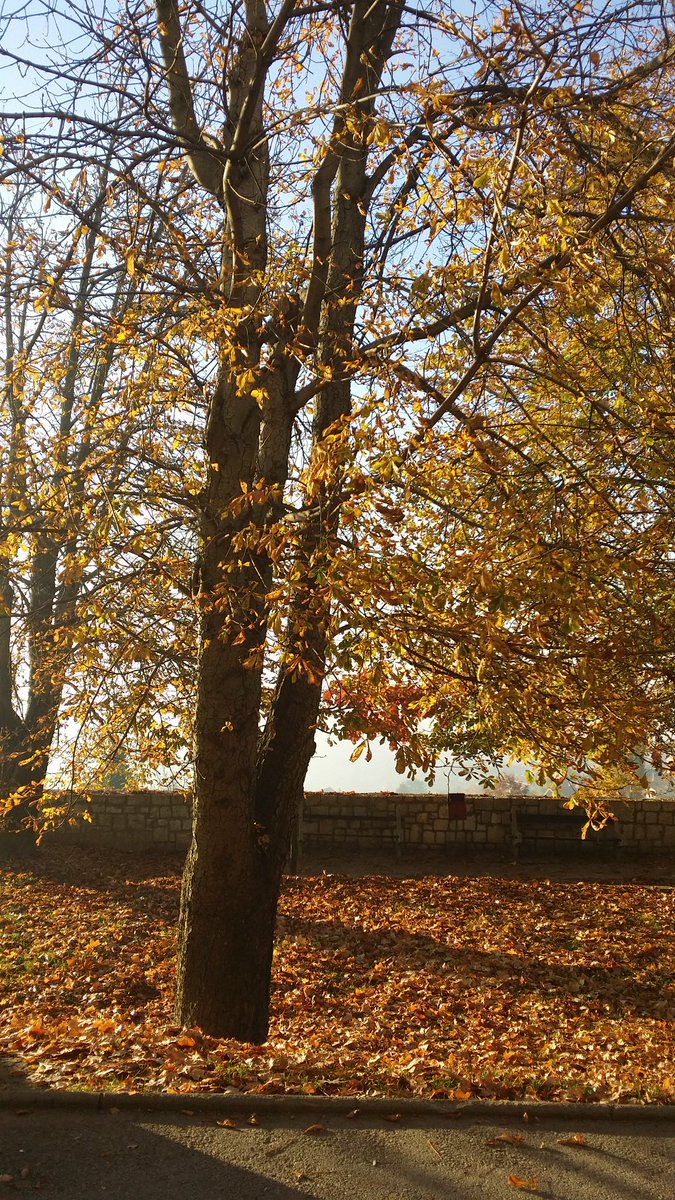 #podhrastovi view