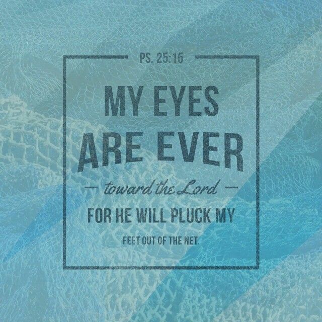 "My eyes are ever toward the Lord, for he will pluck my feet out of the net." - Ps 25:15