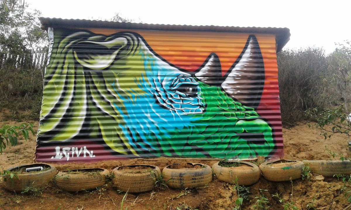 blessedelon's tweet photo. Baby Rhino in Mayville informal settlements"....#savetherhino#spraypaint #graffitiart#4givn#southafrica #spreadlove https://t.co/Rm2BZbtsB2