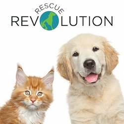 RescuRevolution's tweet photo. Be kind to #animals today and every day. #WorldKindnessDay #dog #cat #RescueRevolution
https://t.co/bvFbdbuIPH https://t.co/ExDV2fEPje