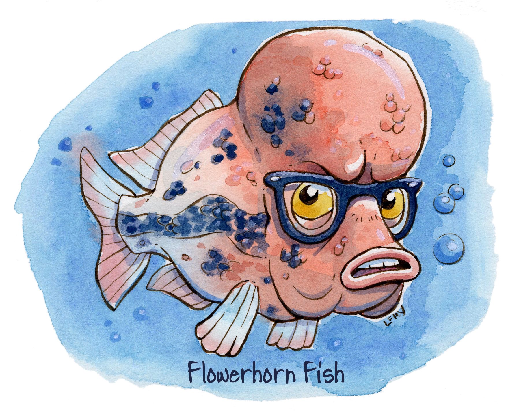 Lance Fry on X: If I were a #fish, I would be one with a big head