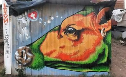 blessedelon's tweet photo. My orangish/green cow in Chatsworth informal settlements. ..#graffitiart#spraypaint #art#graffitisouthafrica#4givn https://t.co/lUZfceOKR7