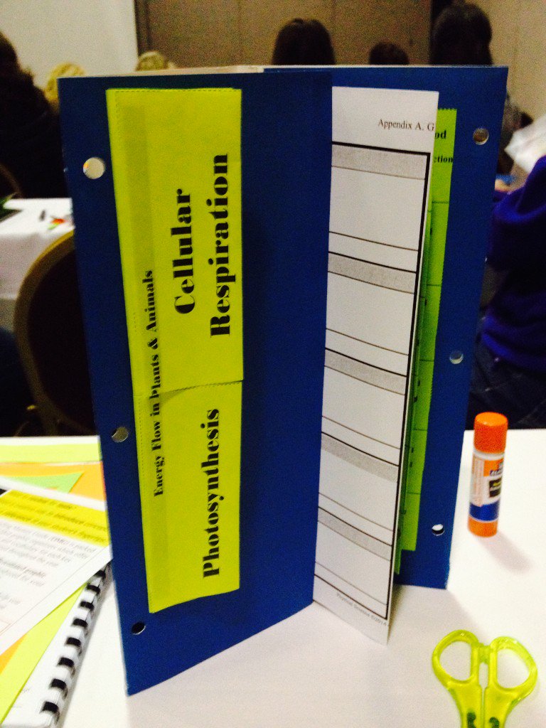 MrDscience's tweet image. OMG! Science foldable on #LifeSciences just created @NCSTA #foldablefun